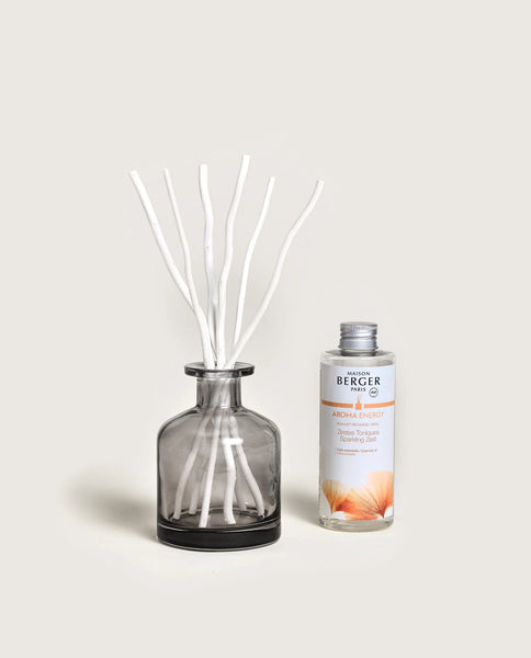 -Maison Berger Paris- "Aroma Energy" Duftbouquet Glas mit 180ml Parfum