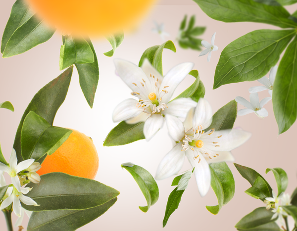 Parfum de Maison, Fleur d'Oranger/Orange Blossom 500ml