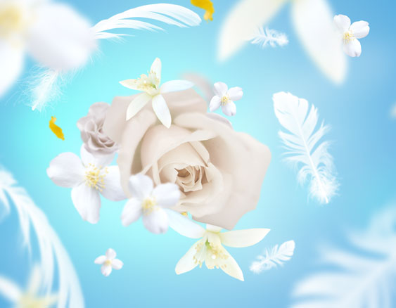Parfum de Maison, Délicat Musc Blanc/Delicate White Musc 500ml